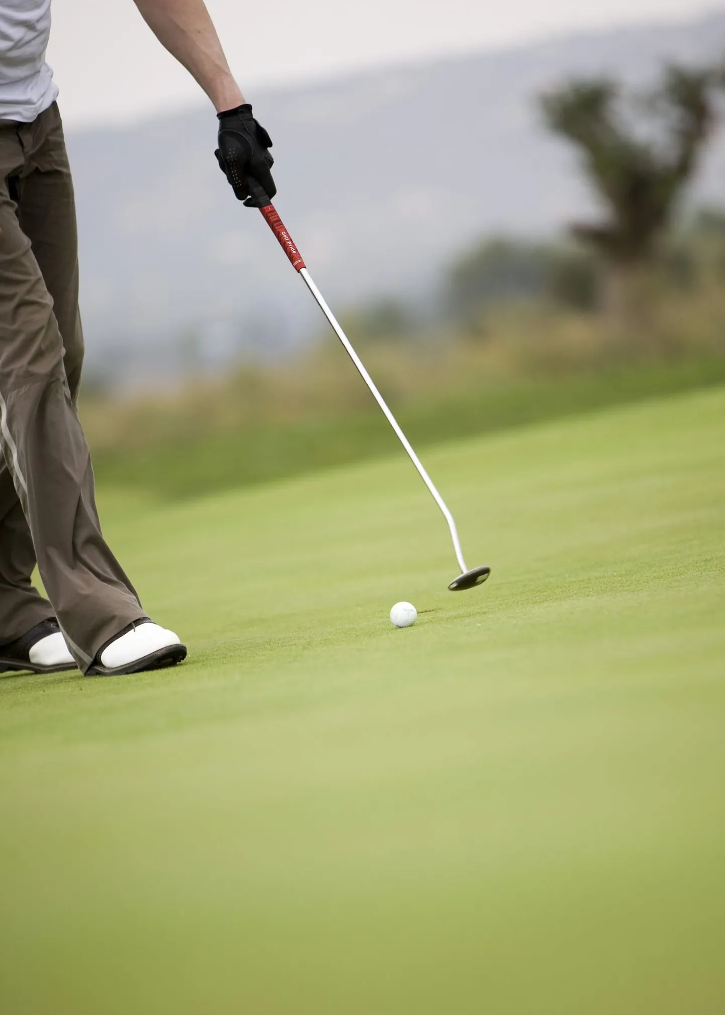 Golfimängijad otsivad uusi mänguväljakuid.
