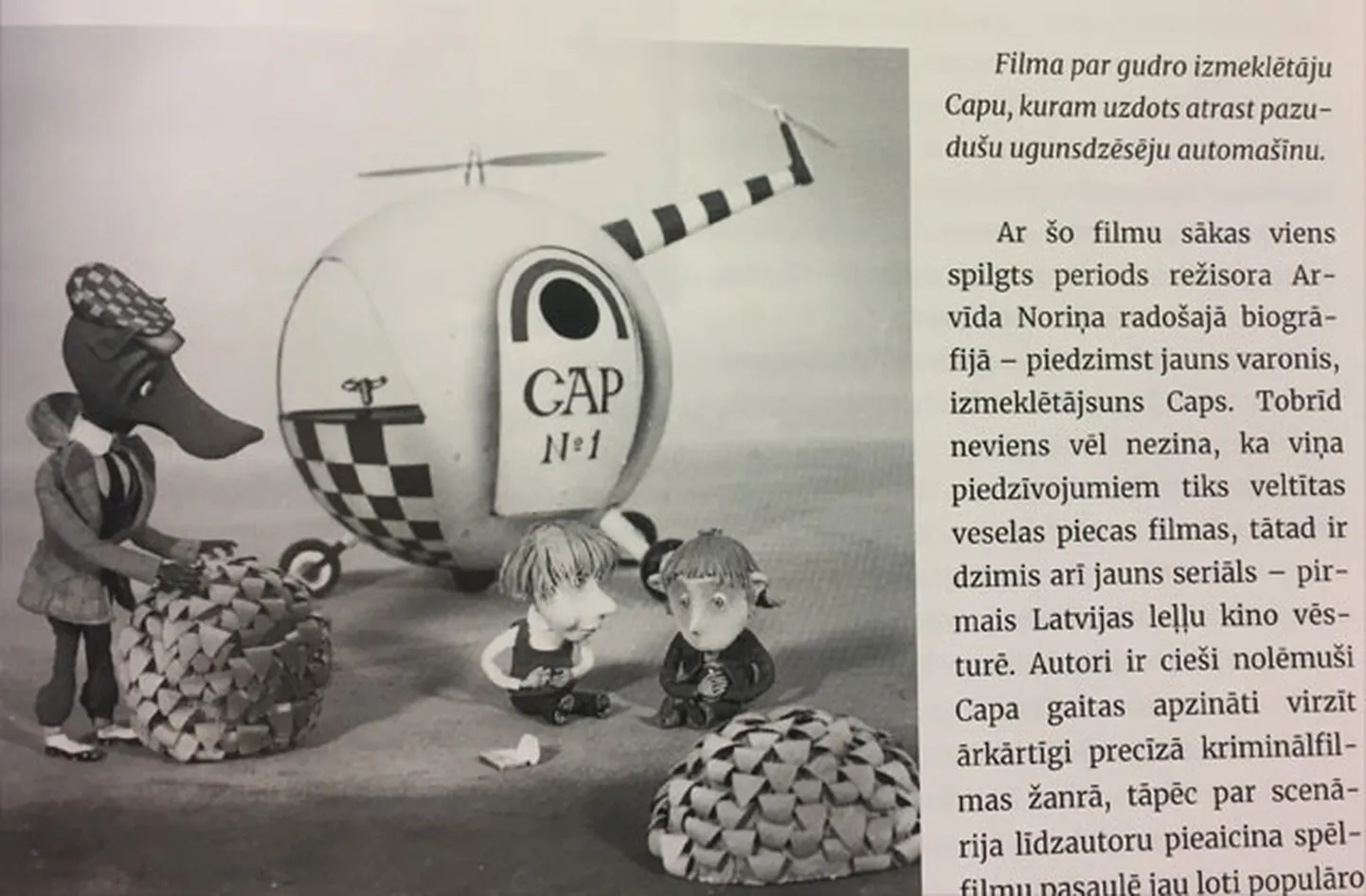 Raksta foto