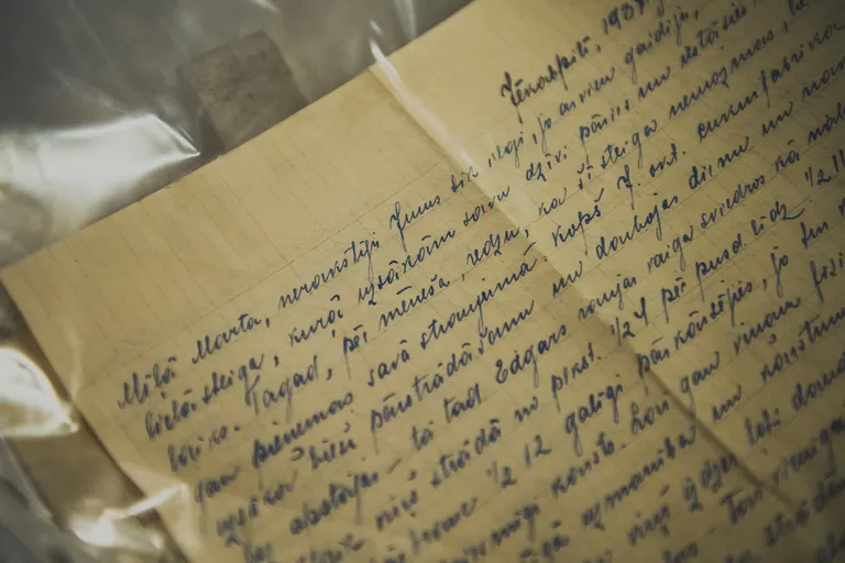 Džemmas Skulmes vēstule
