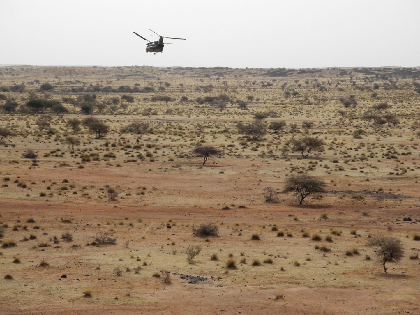 Helikopters virs tuksneša Malī.