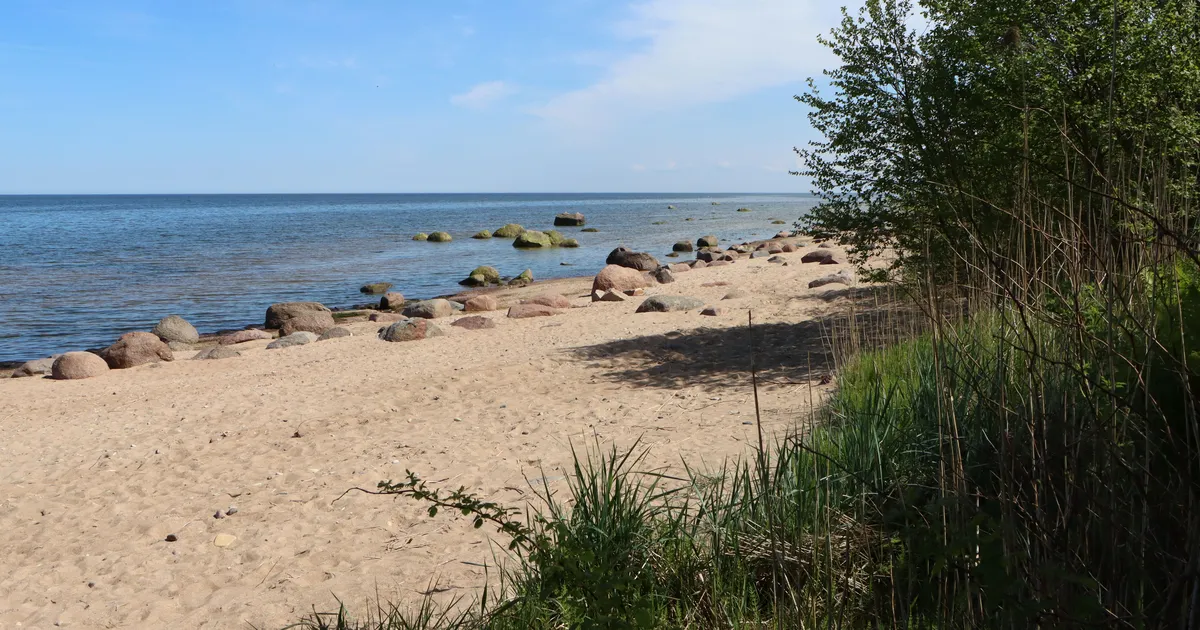 Aa rannas ärples purjus mees relvadega, politsei eemaldas puhkajad