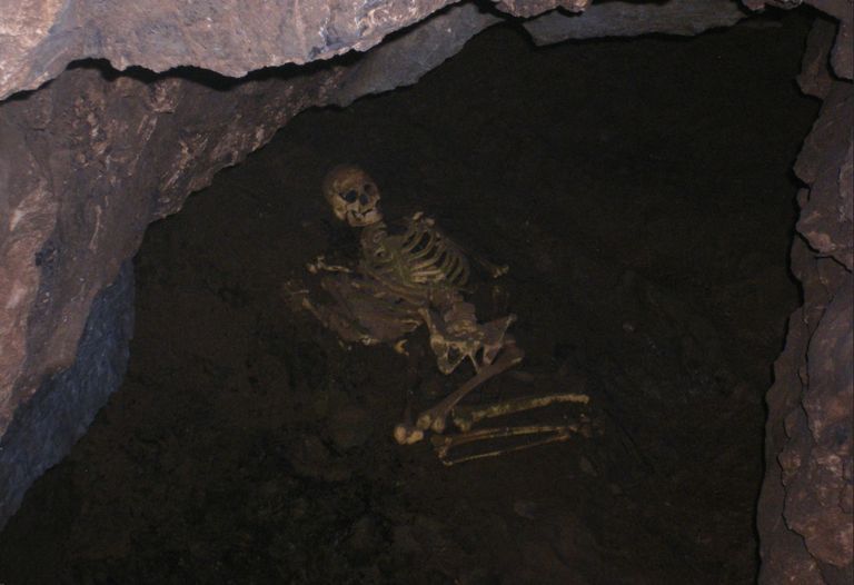 Goughi koopast leitud skelett.