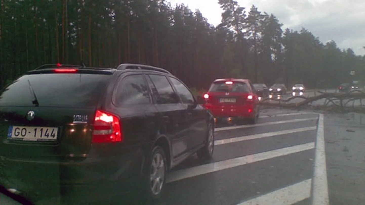 Raksta foto