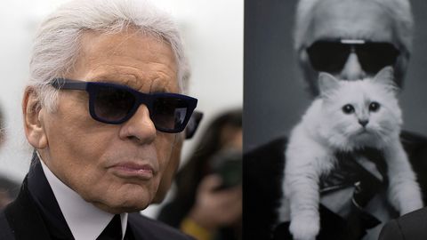 Lemmik, kes supleb luksuses! Karl Lagerfeld jättis oma kassile uskumatult suure päranduse
