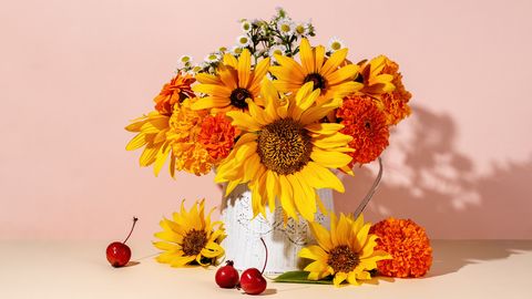 Piektdiena būs vasarīga, gaiss iesils līdz pat +27 grādiem