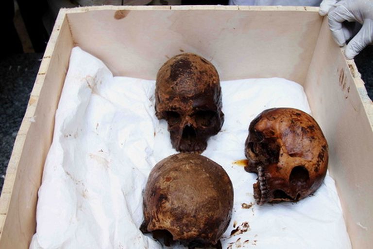 Sarkofaagist leitud koljud