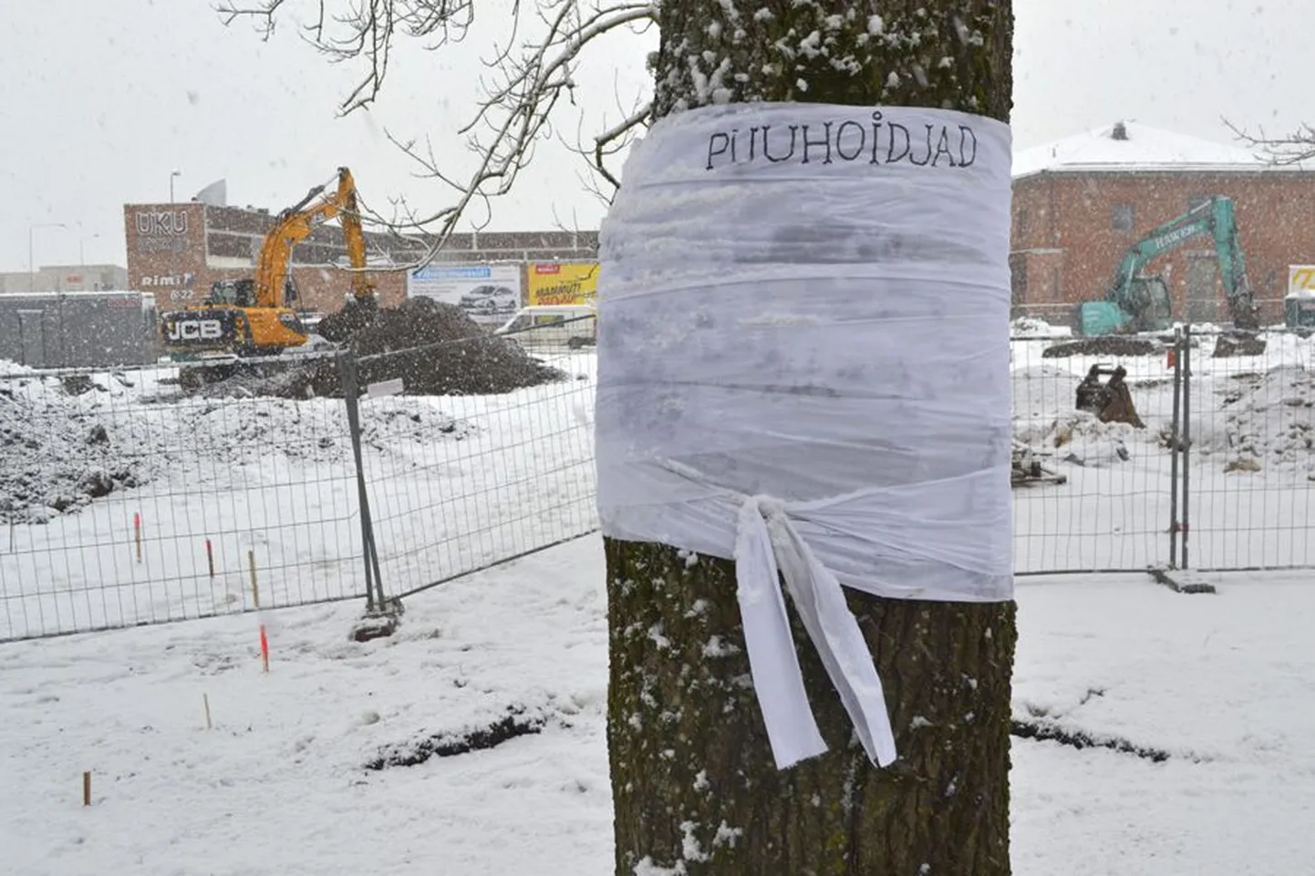 Eile pärastlõunal ilmus mahavõtmisele määratud tamme külge hele mähis kirjaga «Puuhoidjad».