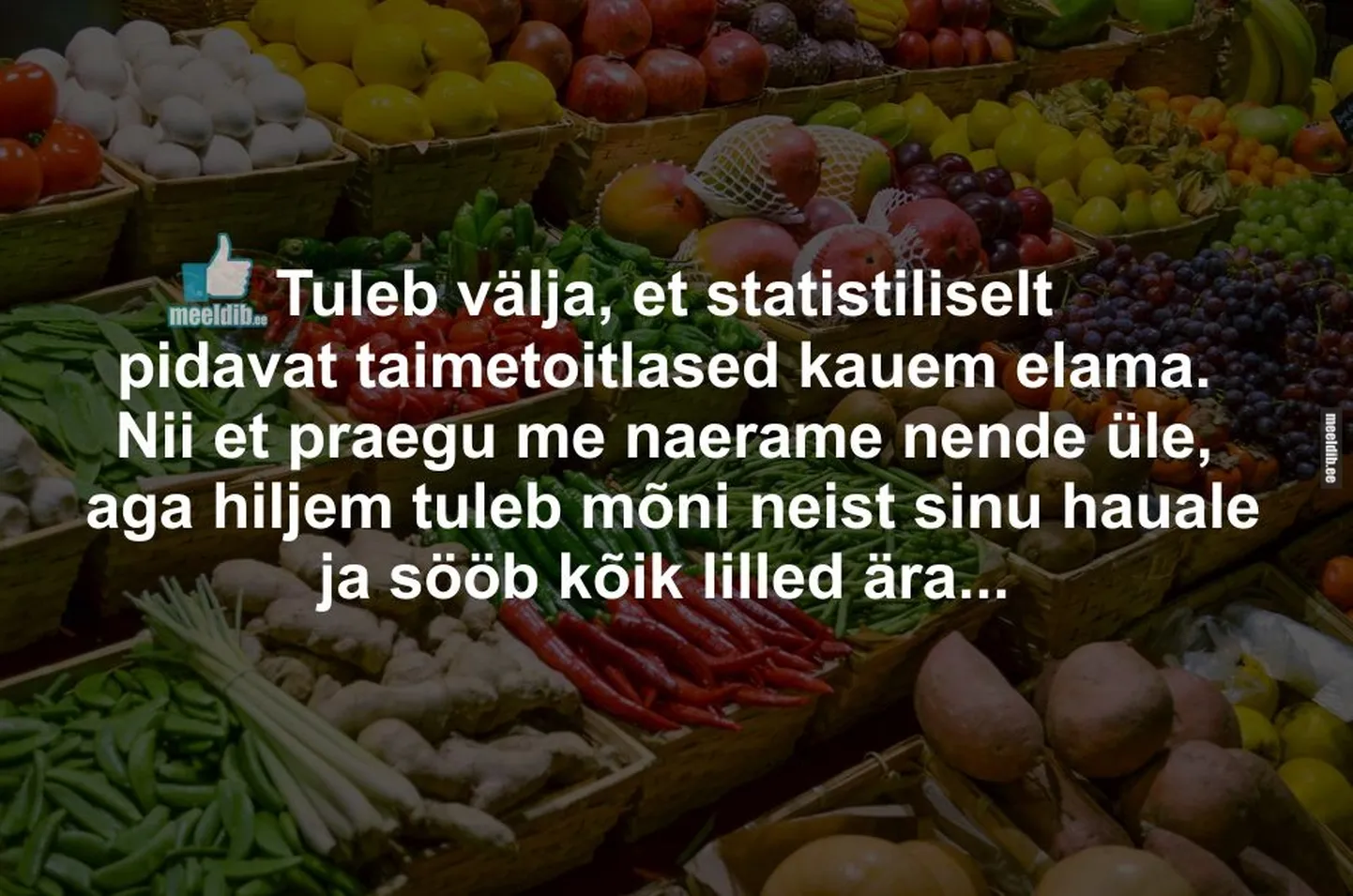 Artikli foto