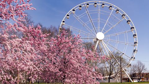 Pirmdien Latvijā gaidāms saulains laiks