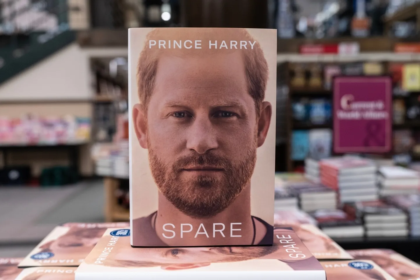 Harry raamat Varumees tõlgiti ka eesti keelde