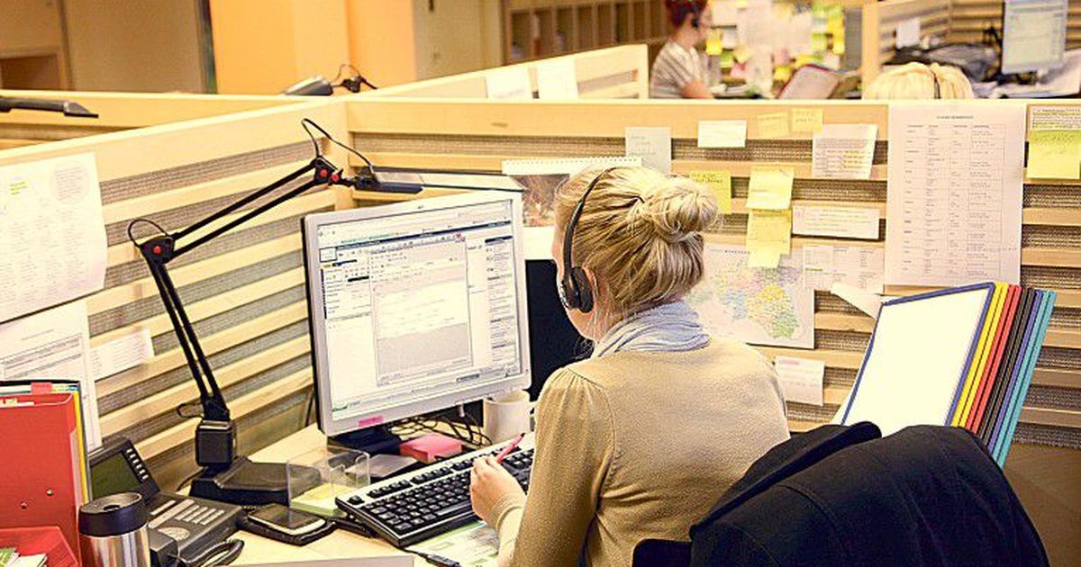 Государственная работа в образовании. Государственная работа в образовании
