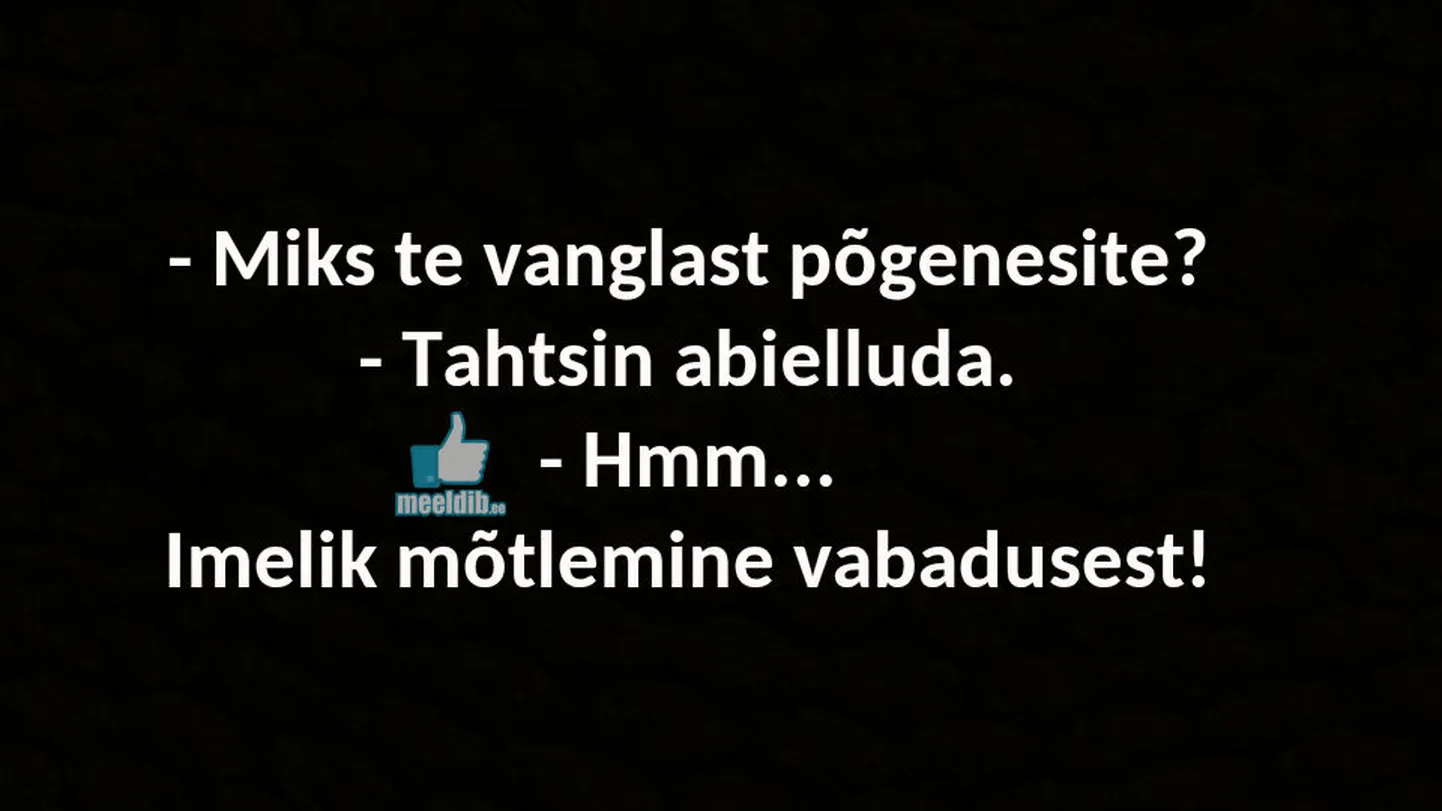 Artikli foto