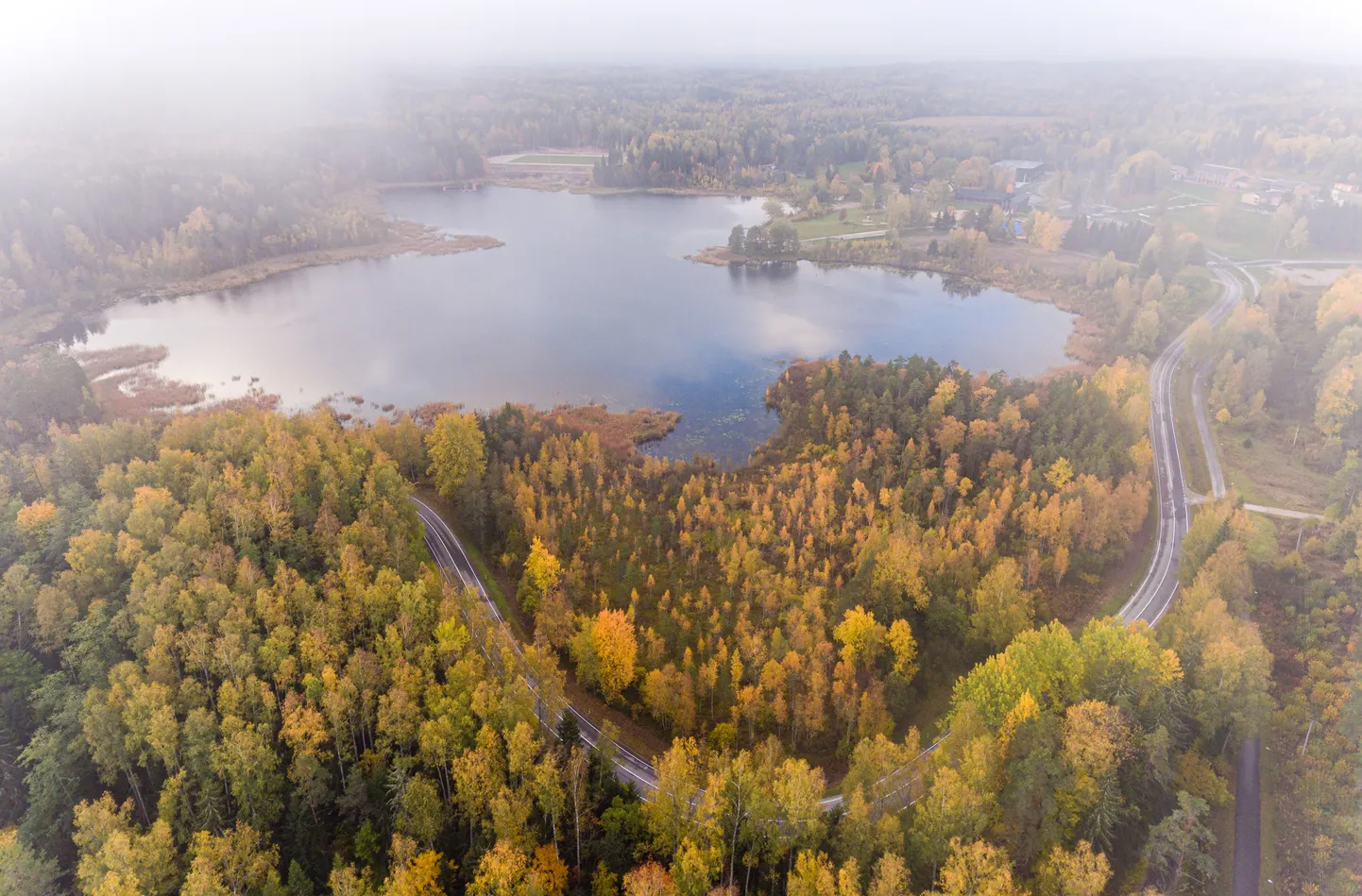 Золотая осень.