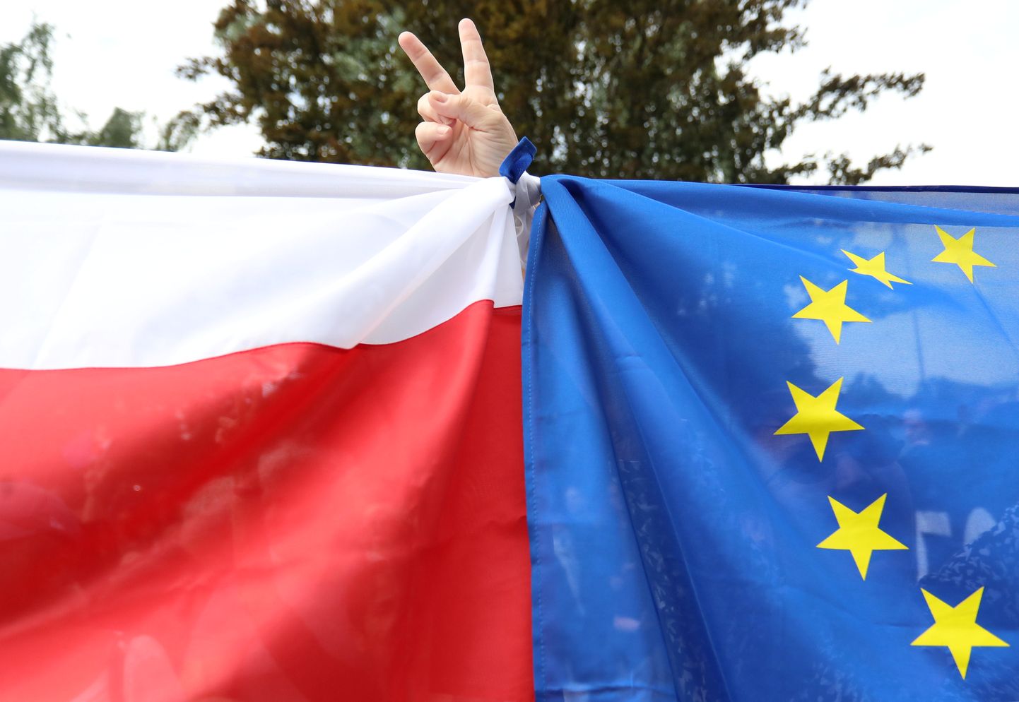 Poola ja Euroopa Liidu lipud meeleavaldusel.