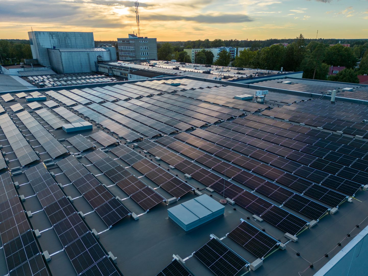 Ainsat lahendust suurtest elektriarvetest pääsemiseks näeb ettevõtja oma päikesepargi rajamises. Pildil Saku Õlletehase päikesepark, mis toodab ilusal päikeselisel suvepäeval  9 MW ja vähem päikeselisel suvepäeval 4 MW elektrit.
