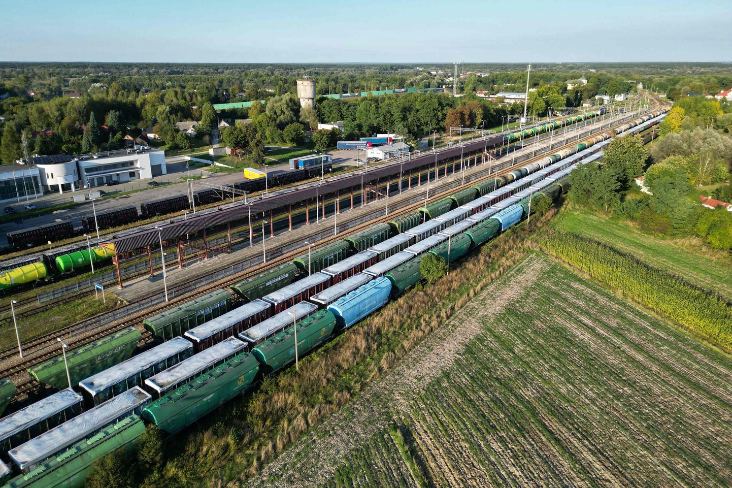 Rongid Ukraina viljaga Ukraina-Poola piiril.