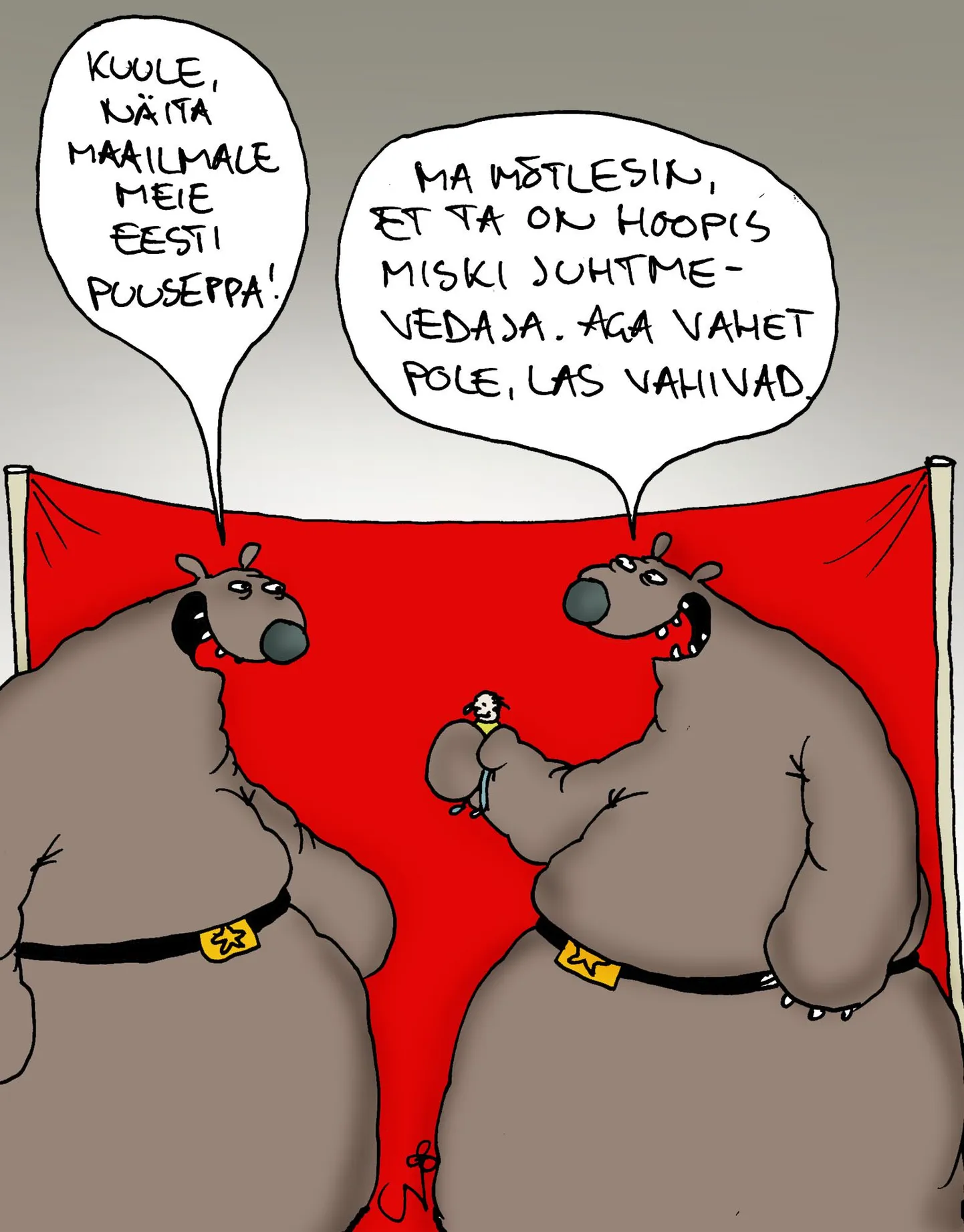 Artikli foto