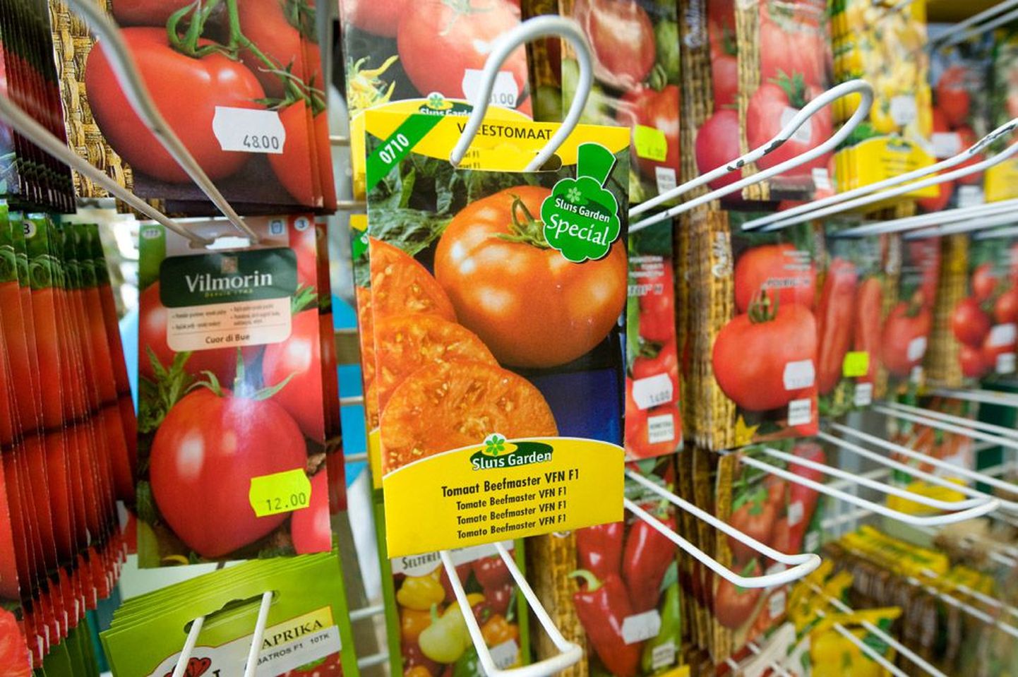 Kalleid «imetomateid» müüb ka Selteret OÜ aianduskeskus, kuid viis korda odavamalt. Kahekiloseid vilju pole Beefmasteri tomatiseemnest kasvavalt taimelt siiski loota.