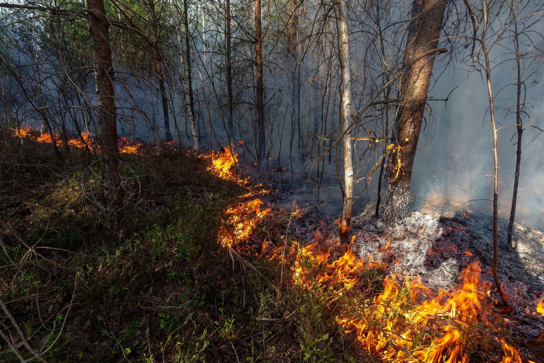 Eestis on tänavu toimunud juba 626 metsa- või maastikupõlengut.