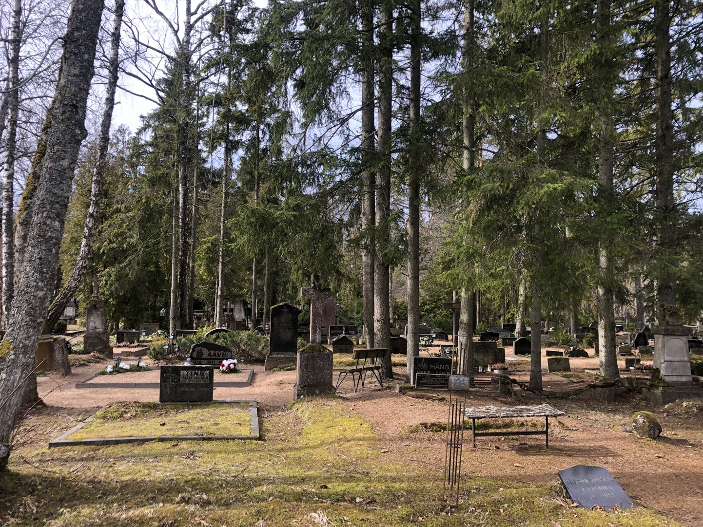 Kudjape kalmistu.
