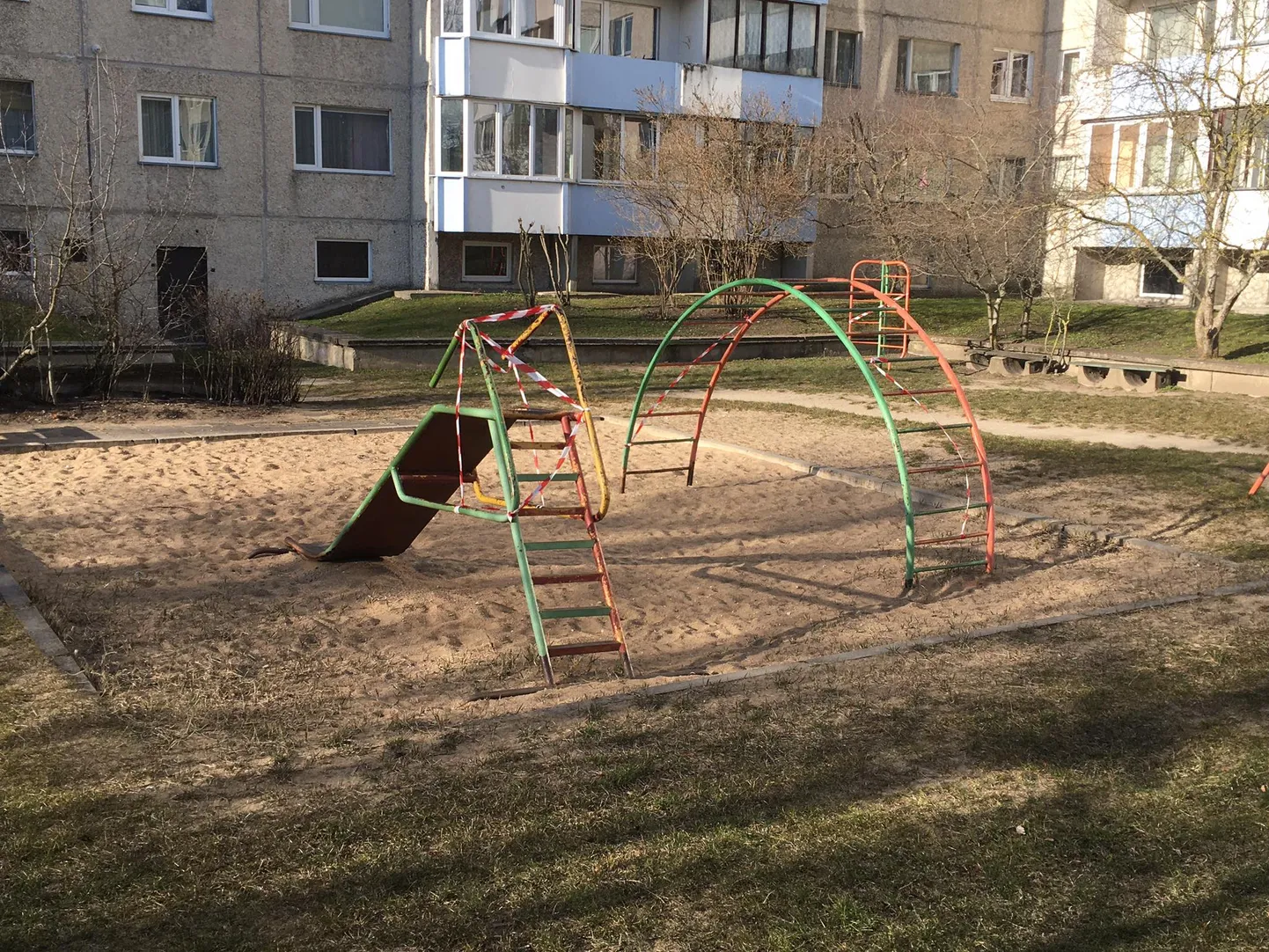 Фото статьи