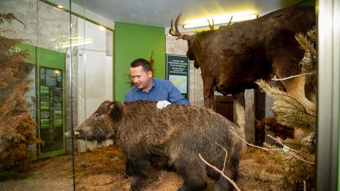 ASJA LUGU ⟩ Kuidas kõigile tuntud topised Saaremaa muuseumi sattusid?