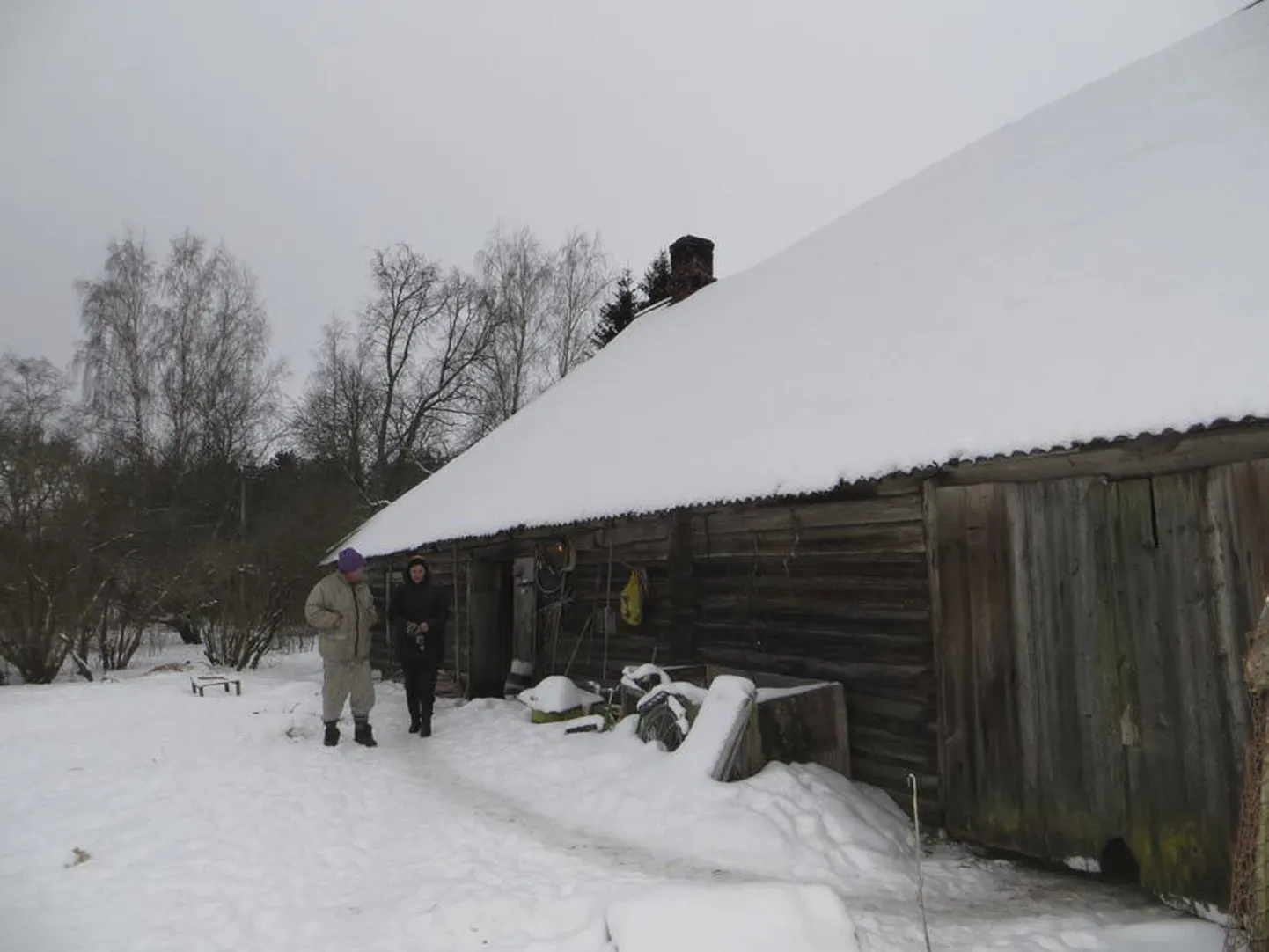 Eaka ja lagunenud talumaja seinad lasevad sooja läbi ning vahel suruvad miinus­kraadid ennast väljast tuppagi.