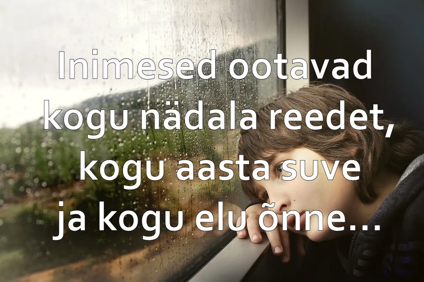 Artikli foto