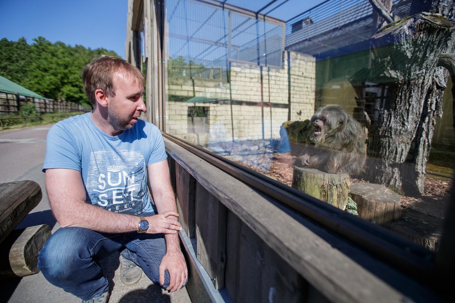 Asjaolude kokkulangemisel Tallinna loomaaia kollektsioonijuhiks sattunud Tõnis Tasane pole zoosse tulekut kahetsenud, sest valdkond on väga lai ja loomi, kellega on vaja tegelda, väga palju.