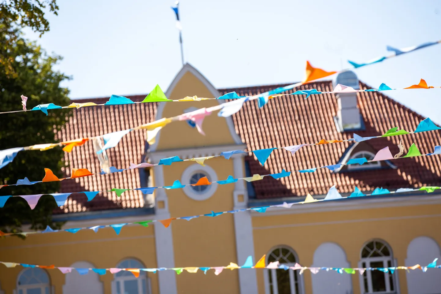 Arvamusfestival