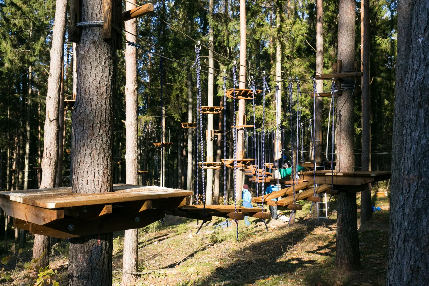 Türi elamuspark
