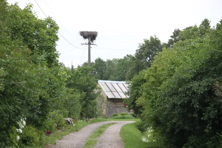 СТ "Спутник" в Силламяэ