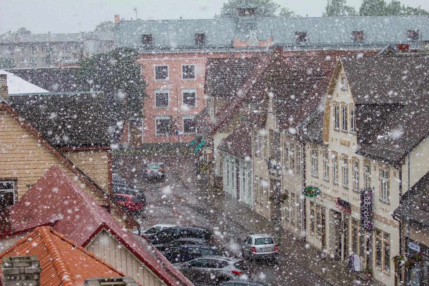 See pilt on tehtud Viljandis 2014. aasta 17. juunil, päeval, mis on läinud ilmalukku hooaja kõige hilisema lumesajuga.