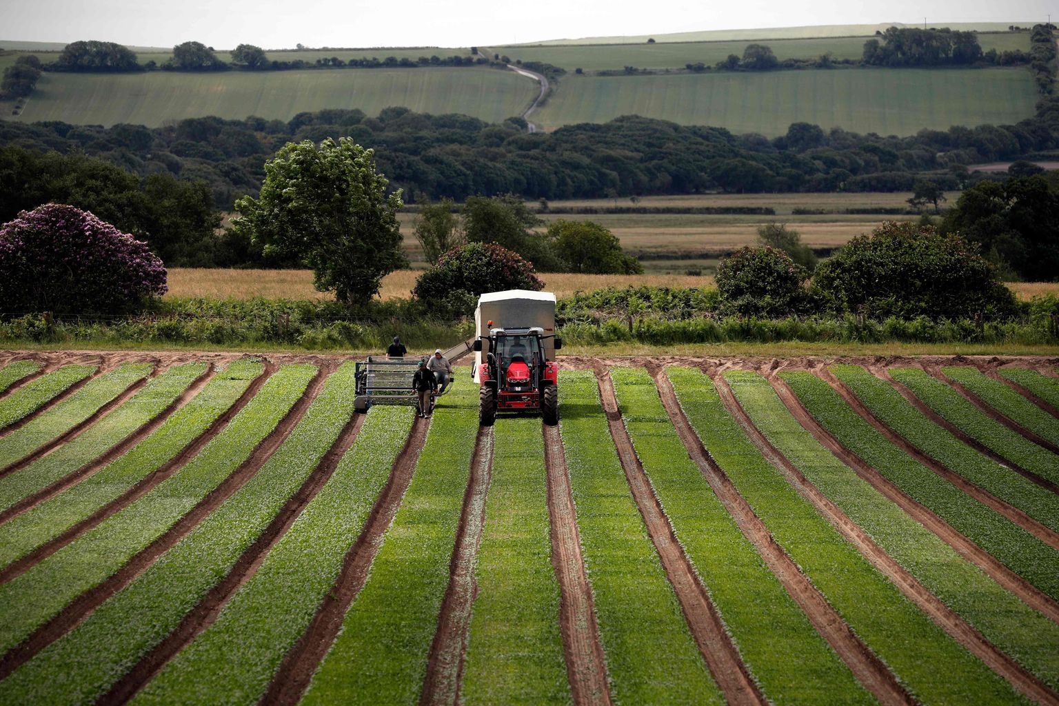 Traktor Lõuna-Inglismaal Dorchesteri lähistel põllul