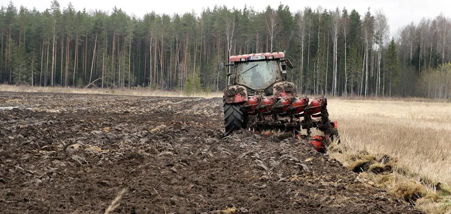 Künnipäeval pidi rahvatarkuse järgi kõik põllutööriistad läbi katsuma, et töö ikka edeneks ja tegija unine ei oleks.