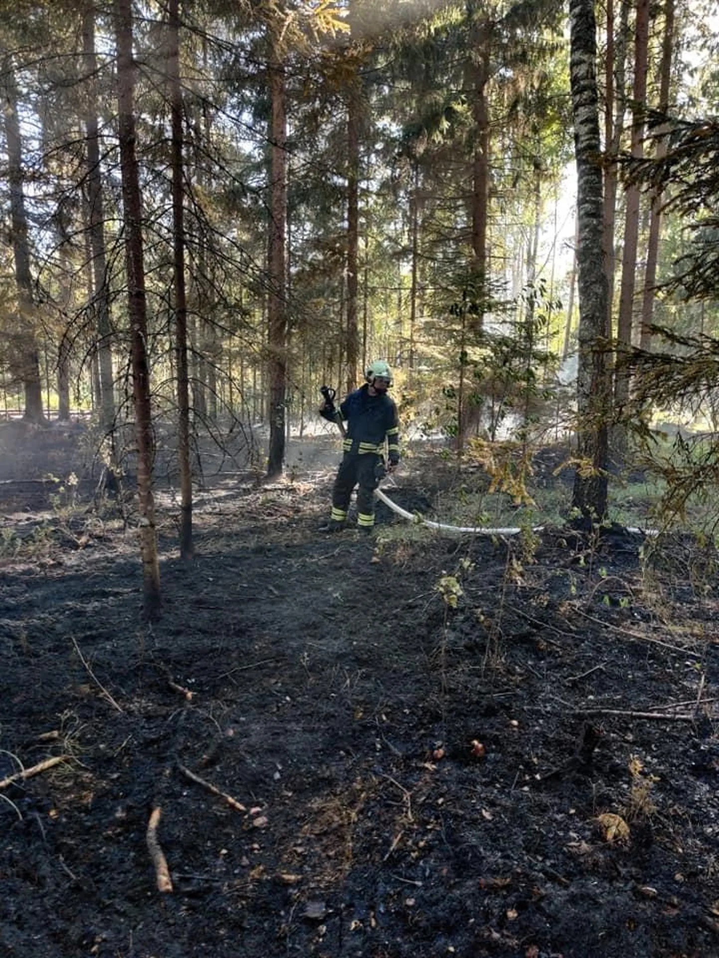 Tuli levis umbes hektari suurusele alale.