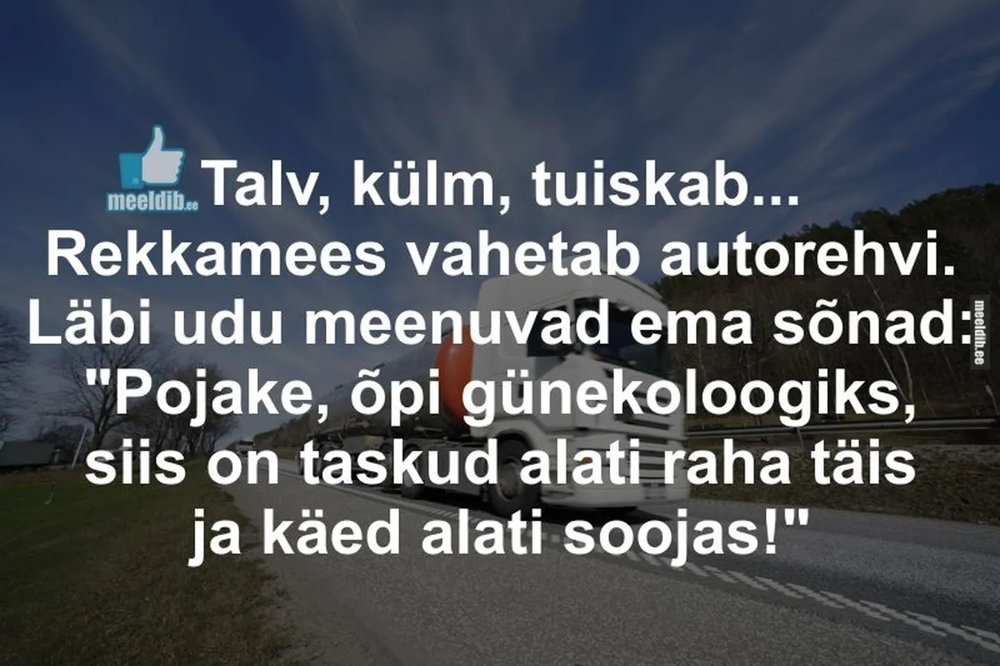 Artikli foto