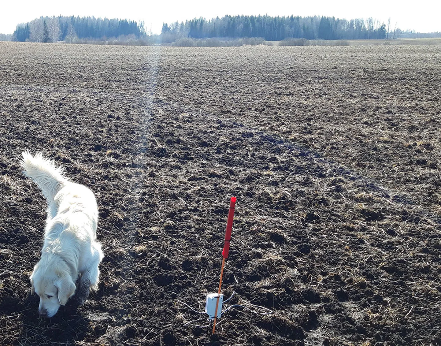 Koos eAgronomiga on projekti kaasatud ka teine Eesti iduettevõte, SuperHands, kelle välja töötatud on kasutatavad põlluandurid.