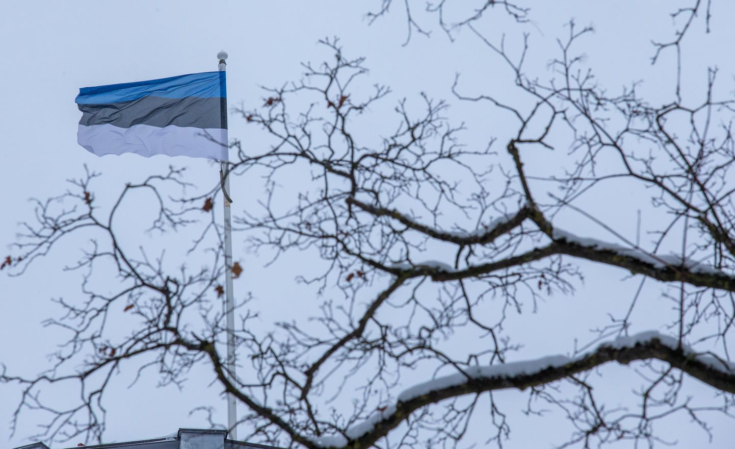 Pildil Tähetornis lehviv Eesti lipp.