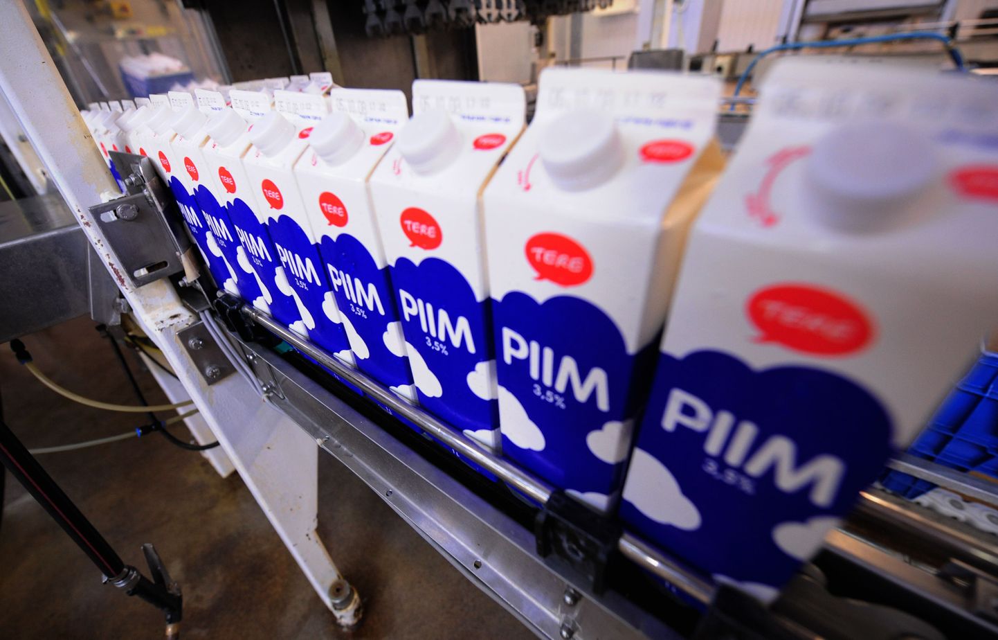Piimatööstus tõusis 100 suurema maksuvõlglase hulka.