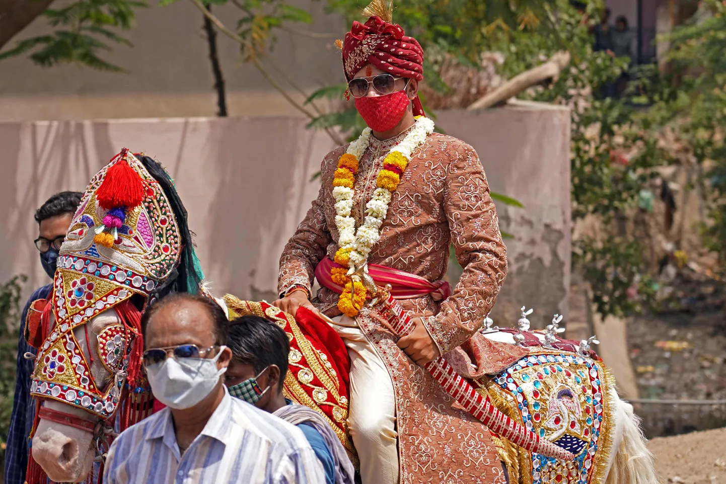 India peigmees pulmarongkäigus. Foto on illustreeriv.