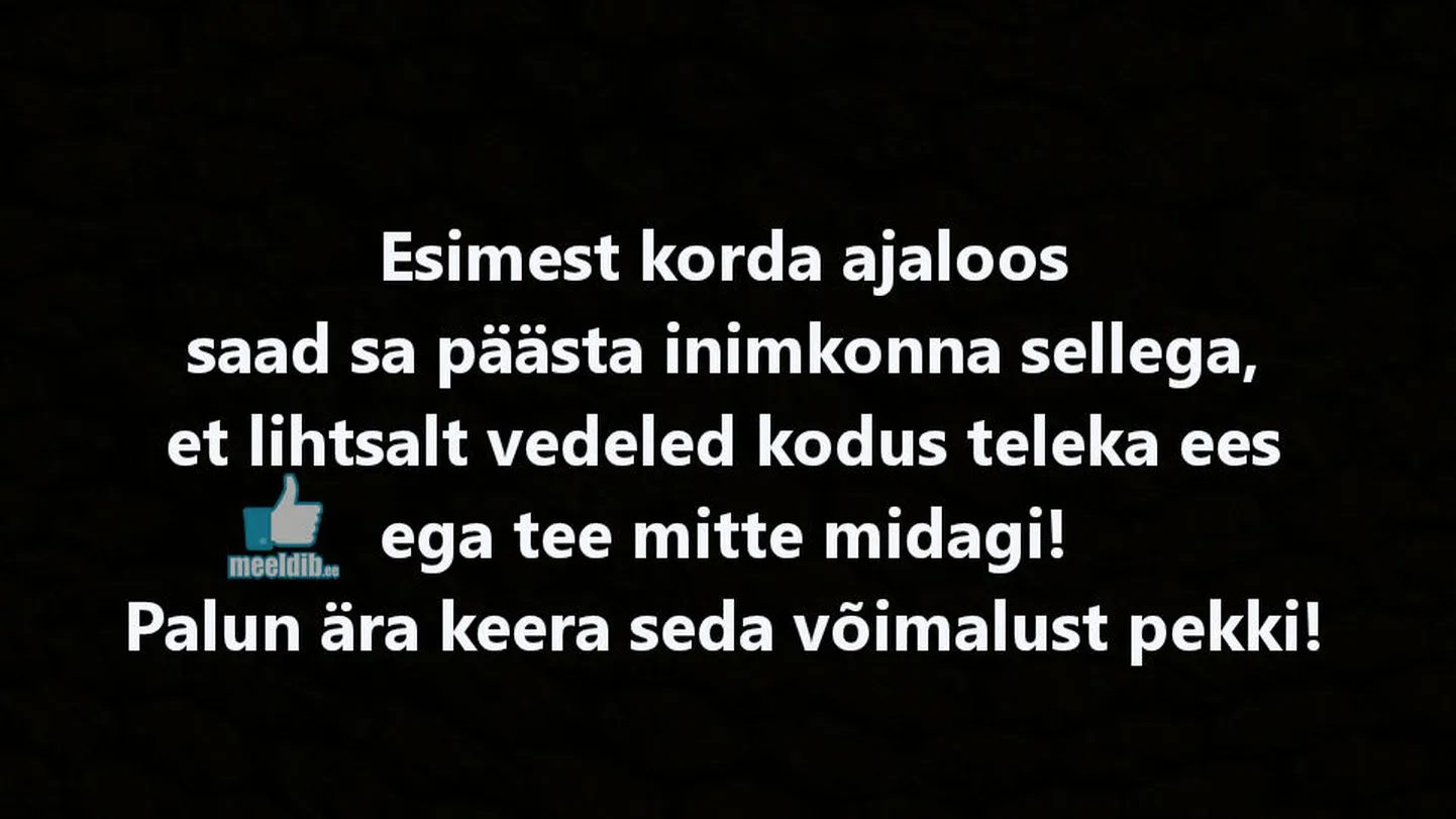 Artikli foto