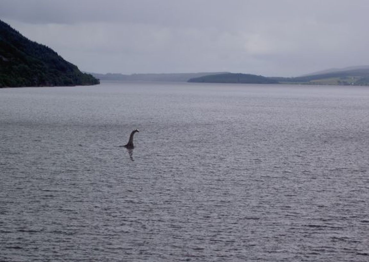 Loch Nessi koletis?