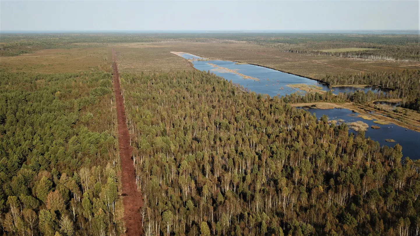 VANASSE KORDA: Saikla jääksoo korrastamise käigus suleti 26,2 km kraave.