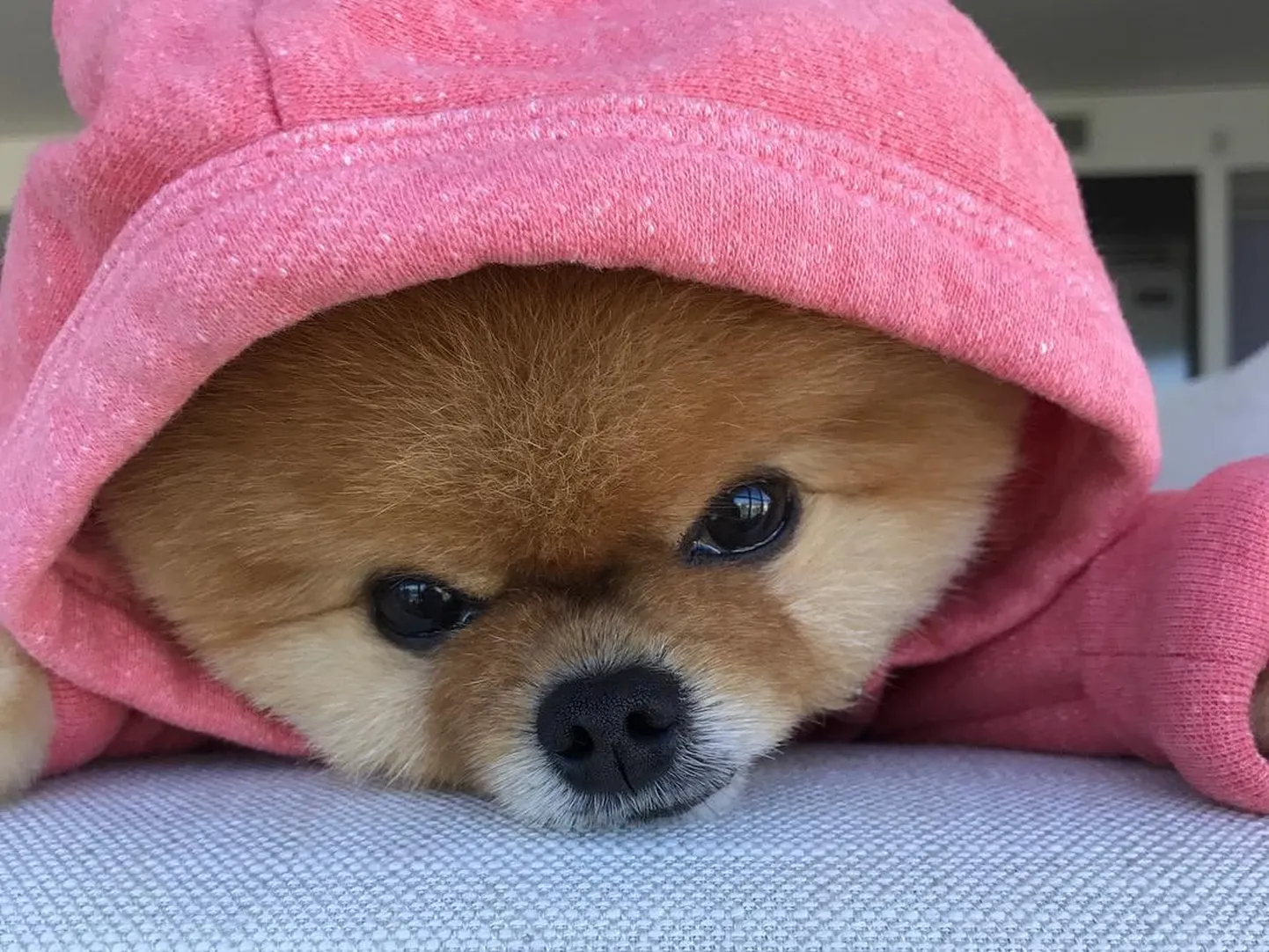 Raksta foto