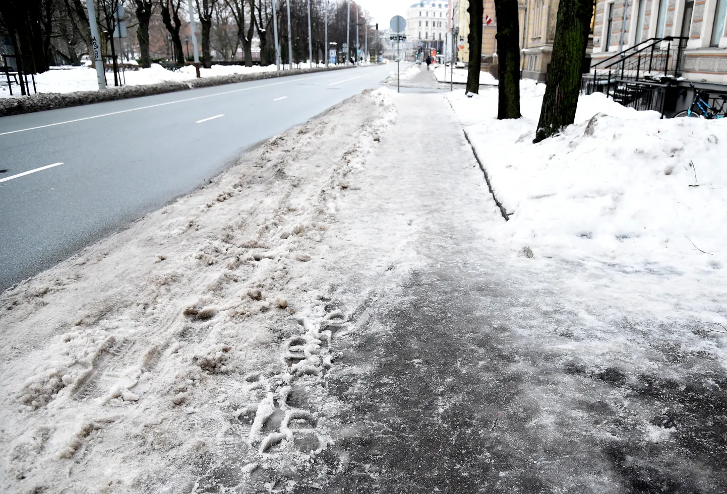 Фото статьи