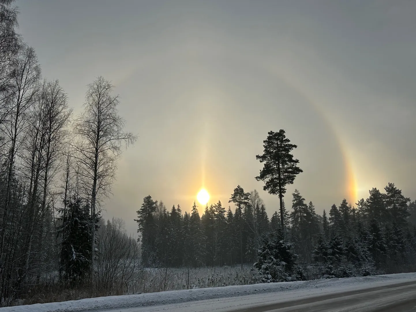 Halo ümber Päikese