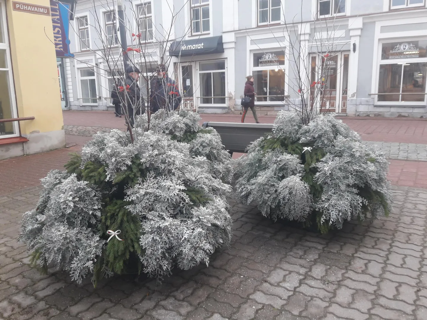 Rüütli tänavat kaunistavad sel aastal jõuluootuses kuuse- ja kontpuuokste kompositsioonid, mille külge on seotud valged ja punased lipsukesed.