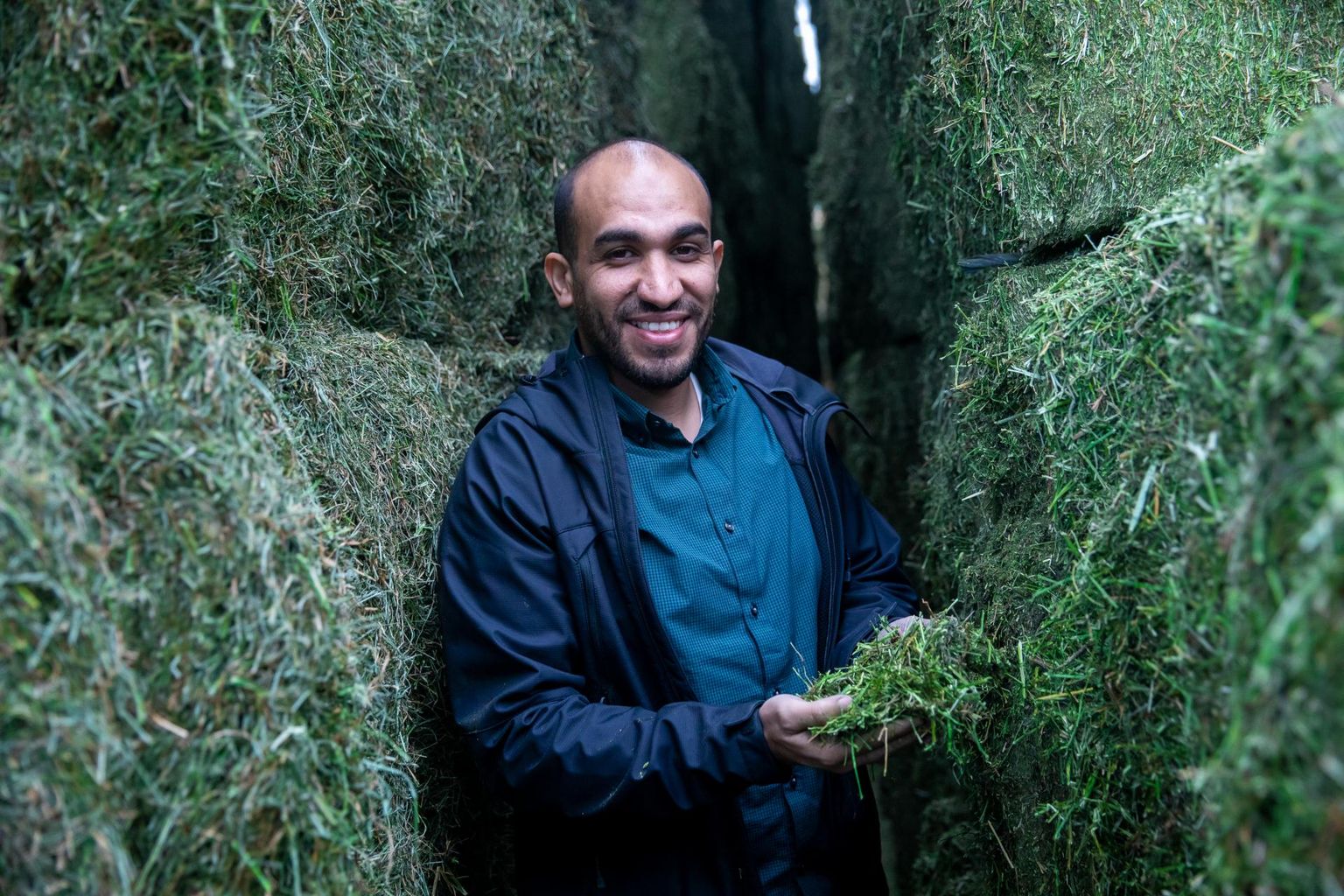 Mahmmud Ahmedi ettevõtte Golden Fields müüb Eestis toodetud loomasööta kodumaale Jordaaniasse, kus see on defitsiitne kaup. 
