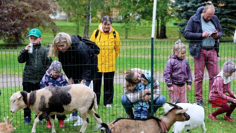 GALERII ⟩ Annelinna kogukonnapäeval meelitasid peresid ligi taluloomad ja kirev programm